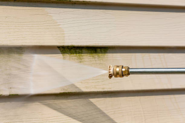 Best Roof Pressure Washing  in Pine Ridge, SC